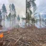 Prescribed fire on Goat Mountain