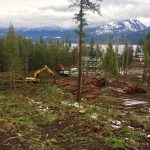 Two machines working to sort logs on a landing
