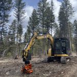 Cute little machine with specialized head sits on a landing