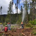 Course participants learning fire suppression in the woods