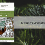 Squirrel food hanging in a basket off a tree